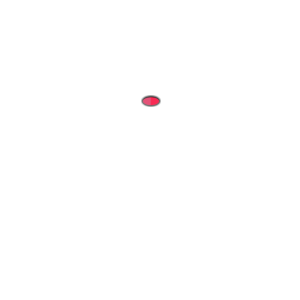 Restaurante Tokio en Pamplona, buffet giratorio, carta de excelente calidad